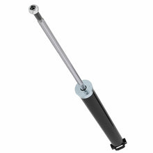 Laden Sie das Bild in den Galerie-Viewer, Neu 2x Dämpfer Hinten Einheit kompatibel für Alfa Romeo Mito kompatibel für Fiat Punto 2005-2014 436388