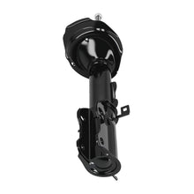 Laden Sie das Bild in den Galerie-Viewer, Neu Stoßdämpfer Komplett Vorne kompatibel für Mercedes-Benz Viano/Vito 2003-2014 6393230120