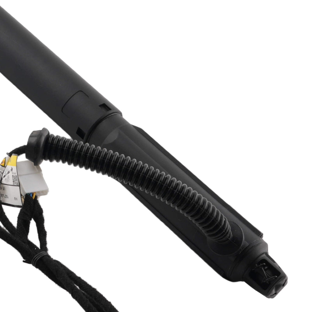 Neu Dämpfer Elektrisch Rechte Seite kompatibel für BMW X6 E71 2007-2014 51247332698 Hinten