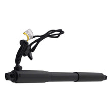 Laden Sie das Bild in den Galerie-Viewer, Neu 2 Hinten Gasdämpfer Elektrische Heckklappe kompatibel für BMW X5 E70 2007-13 51244887651