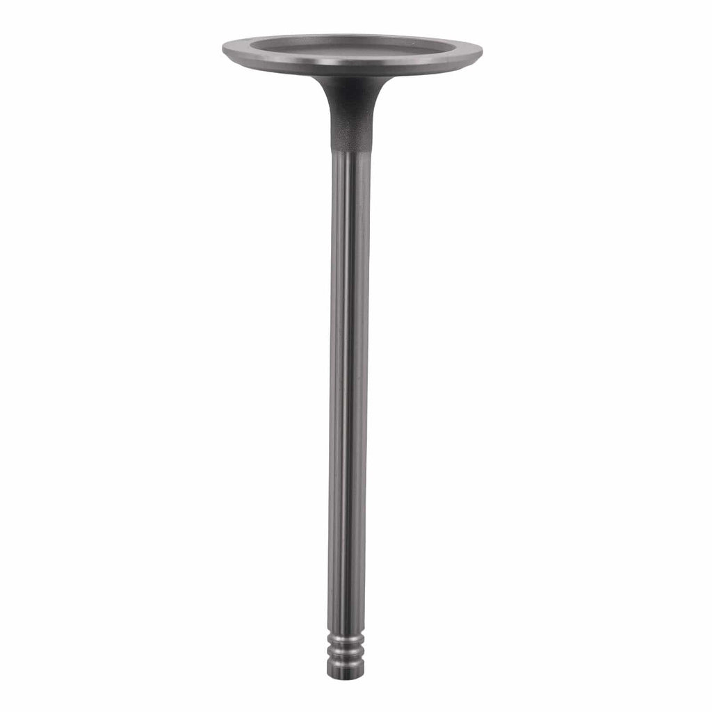 Neu 16 Stück Ventile kompatibel für Dodge Ram 1500/2500 2009-2010 53022088AB 53022088AC