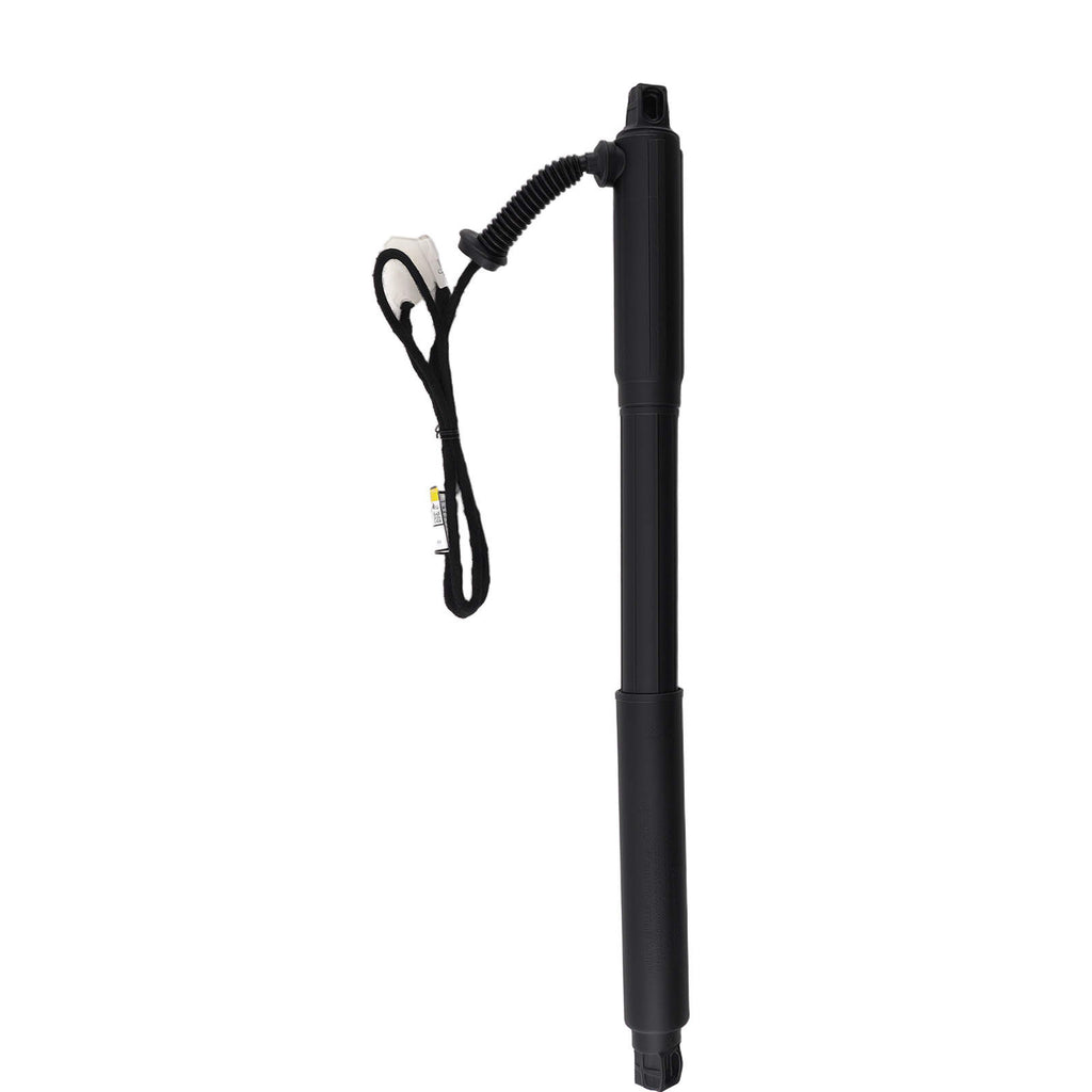 2 Hinten Gasdämpfer Elektrische Heckklappe kompatibel für BMW X5 E70 2007-13 51244887651