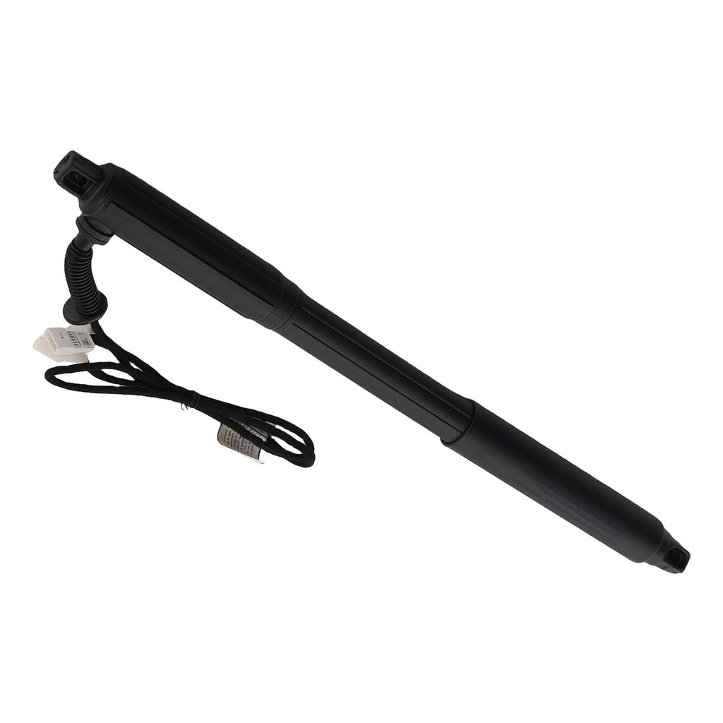 2 Hinten Gasdämpfer Elektrische Heckklappe kompatibel für BMW X5 E70 2007-13 51244887651