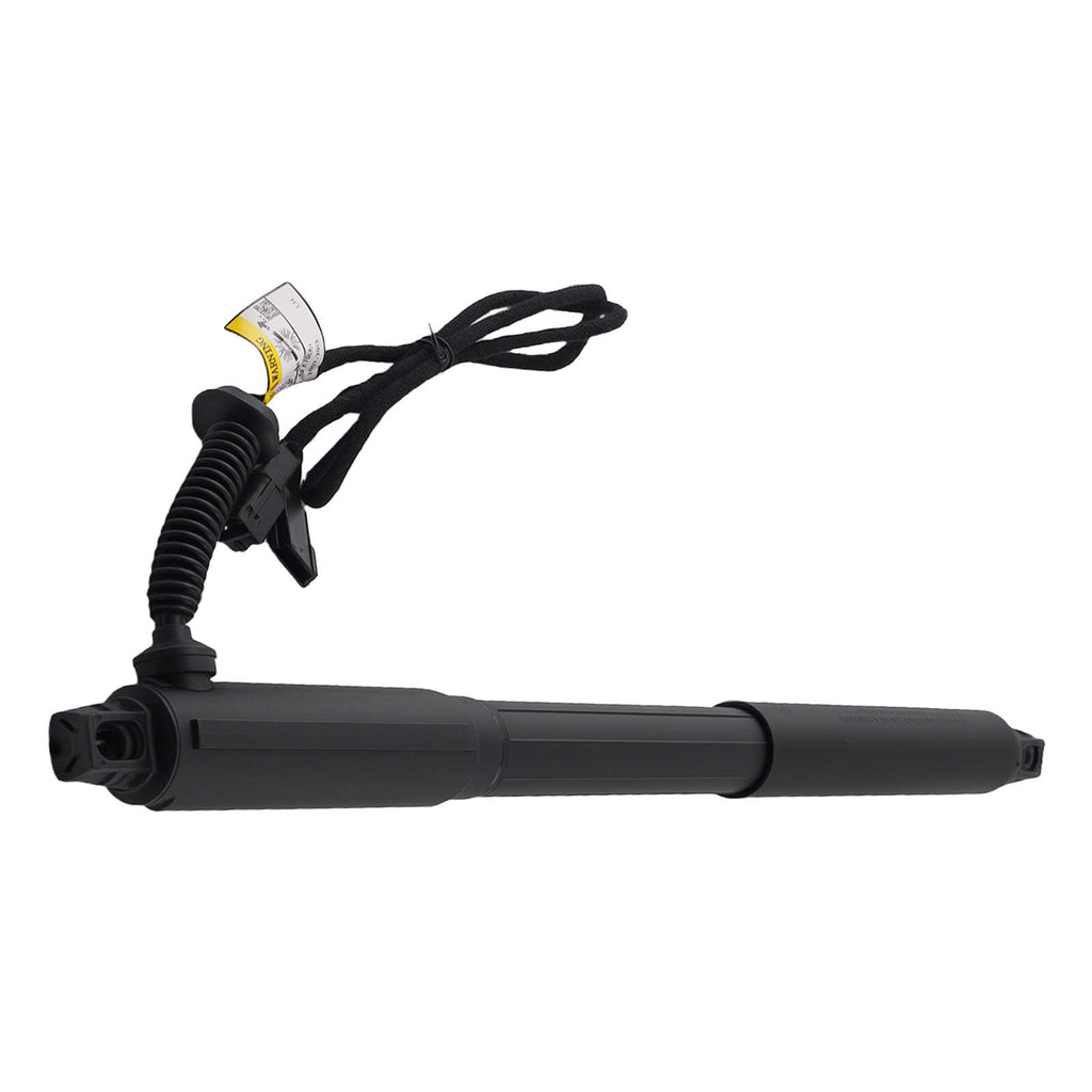 2 Hinten Gasdämpfer Elektrische Heckklappe kompatibel für BMW X5 E70 2007-13 51244887651