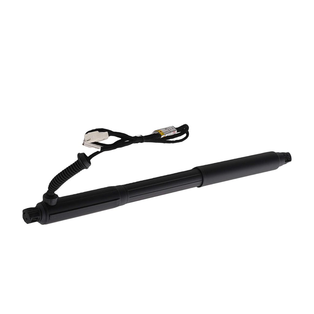 2 Hinten Gasdämpfer Elektrische Heckklappe kompatibel für BMW X5 E70 2007-13 51244887651